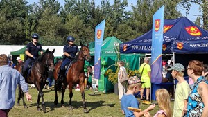 Policyjne konie podczas patrolu.