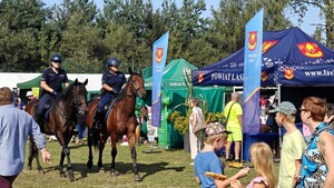Policyjne konie podczas patrolu.