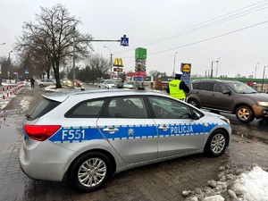 Policyjny radiowóz zaparkowany przy drodze, obok stoi policjant. Po drodze jadą samochody.