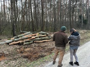 Funkcjonariusz Straży Leśnej wraz policjantkom wykonują czynności na miejscu zdarzenia.