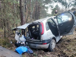 Tył uszkodzonego samochodu w rowie.