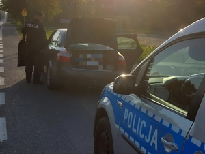 Policjant podchodzi do samochodu osobowego. Za samochodem stoi policyjny radiowóz.