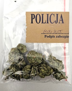 Zabezpieczone narkotyki.