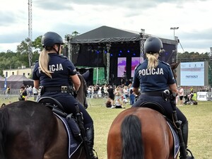Policjanci patrolują teren imprezy w Buczku.