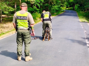 Służby mundurowe poszukują zaginionego mężczyzny.