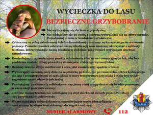 Bezpieczne grzybobranie.