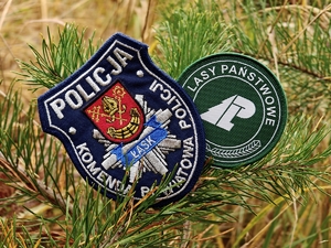 Policjanci razem ze strażą leśną patrolują las.