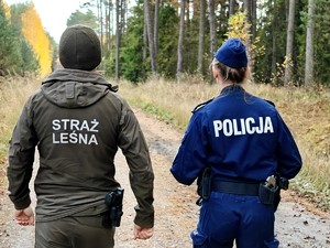 Policjanci razem ze strażą leśną patrolują las.
