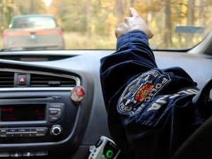 Policjanci razem ze strażą leśną patrolują las.