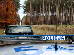 Policjanci razem ze strażą leśną patrolują las.