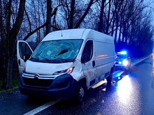 Uszkodzony przód samochodu marki Citroën. W tle widać policyjny radiowóz.