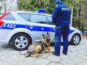 Policjant stoi przy radiowozie, przy jego lewej nodze jest pies.