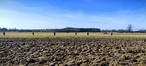 Szczęśliwy finał poszukiwań. Wspólne działania służb uratowały 61-latka