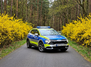 Policyjny radiowóz stoi na drodze.