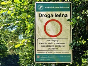 Wspólne patrole Policji i Straży Leśnej.